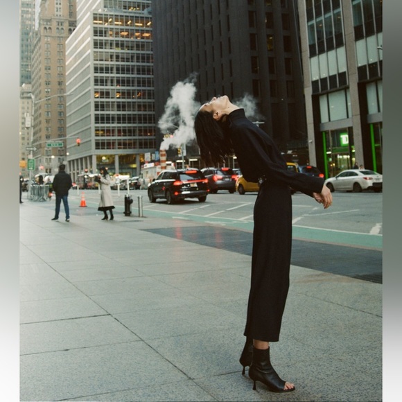 ✨SALE✨ ZARA HIGH COLLAR MIDI DRESS ✨SALE✨ - Picture 2 of 7